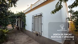 Terreno residencial en Diseminado Cr Remolino 38