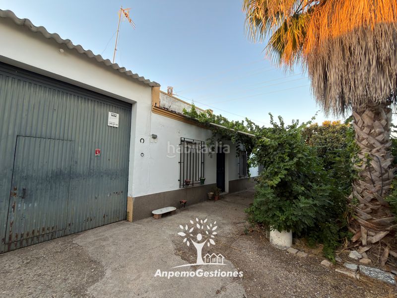 Foto 92c111b8-68da-4e21-9de4-a5435eefa7d1. Wohngrundstück in diseminado cr remolino 38 in Palma del Río
