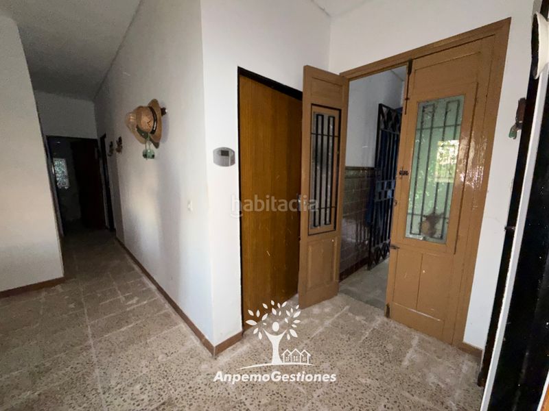 Foto cd9c1279-6d5d-4e0d-b921-88d50b8f5f03. Wohngrundstück in diseminado cr remolino 38 in Palma del Río