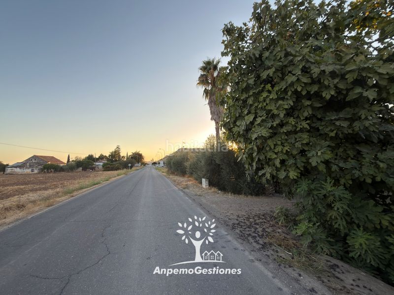 Foto d0071960-a5d2-479f-94b7-c3ba880b5bc2. Wohngrundstück in diseminado cr remolino 38 in Palma del Río