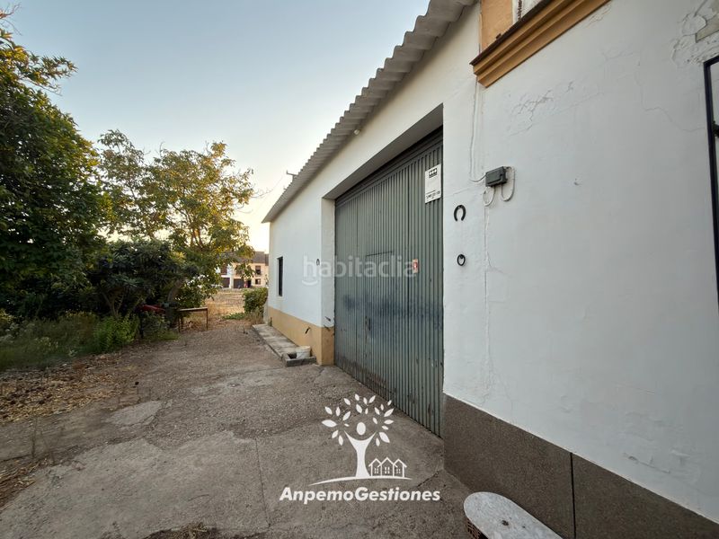 Foto d9eb7c91-6490-4b95-ab63-68c3ee88f92b. Wohngrundstück in diseminado cr remolino 38 in Palma del Río