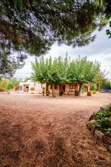 Finca rústica  Camí del coll d'en boc. Finca en venta! ideal para disfrutar de la naturaleza y la tranq
