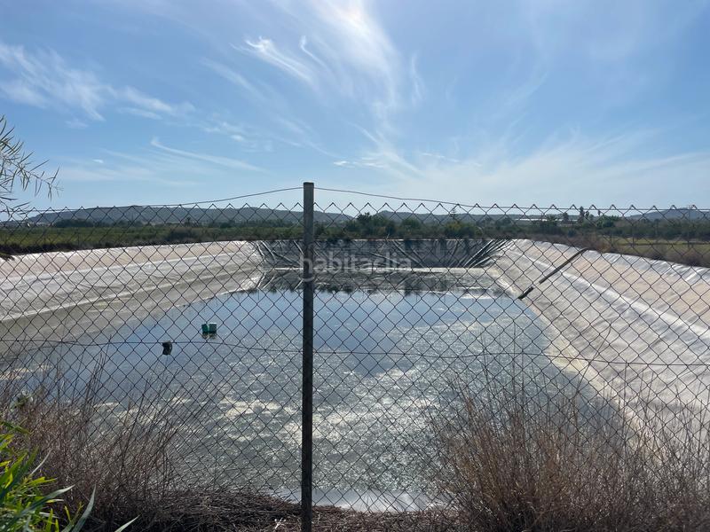 Foto 04efe031-c009-4950-895a-4220a8b38774. Finca rústica en carretera de almoradí 14 finca en san bartolomé en Orihuela