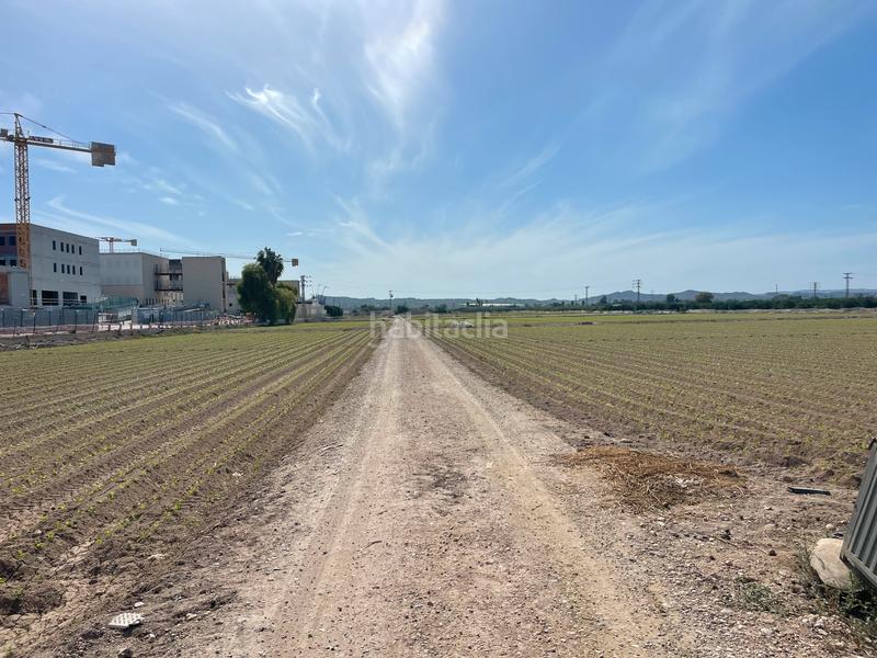 Foto 3964f688-b0f3-44a5-83f7-82f8b5d9d8f7. Finca rústica en carretera de almoradí 14 finca en san bartolomé en Orihuela