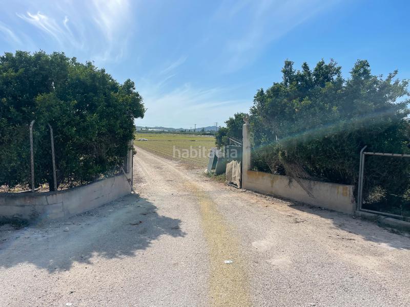 Foto 4da1d826-2efb-4b4d-8968-fc3243ff2b7d. Finca rústica en carretera de almoradí 14 finca en san bartolomé en Orihuela