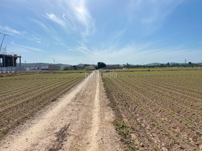 Foto 6ca1dfda-0258-44db-a00e-7125ab35fee2. Finca rústica en carretera de almoradí 14 finca en san bartolomé en Orihuela