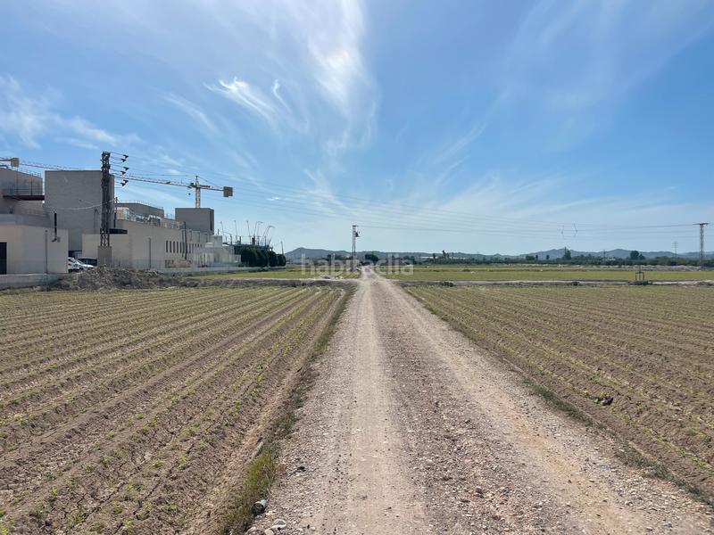 Foto b6f2e803-3704-4bc4-8779-a1930c5bd0b3. Finca rústica en carretera de almoradí 14 finca en san bartolomé en Orihuela