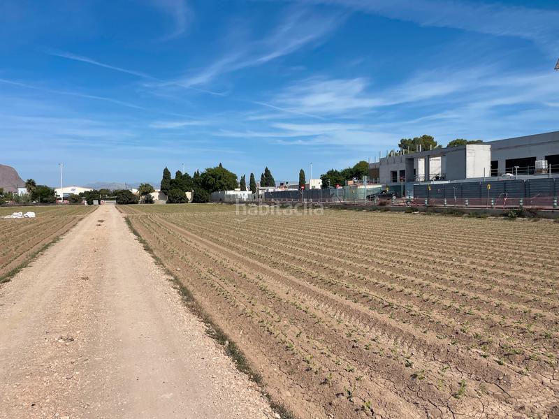 Foto c9b32fed-7310-424f-bf0a-59d2f0f79898. Finca rústica en carretera de almoradí 14 finca en san bartolomé en Orihuela