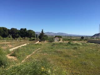 Terreny residencial  Calle murcia m pinar. Parcela en venta en montepinar de orihuela