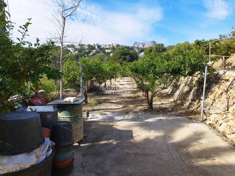 Foto 9cf4d394-78b3-4ba6-a9f1-17ab7003dd4e. Casale in cautivador 40 in El Tossal-Bello Horizonte Nucia (la)