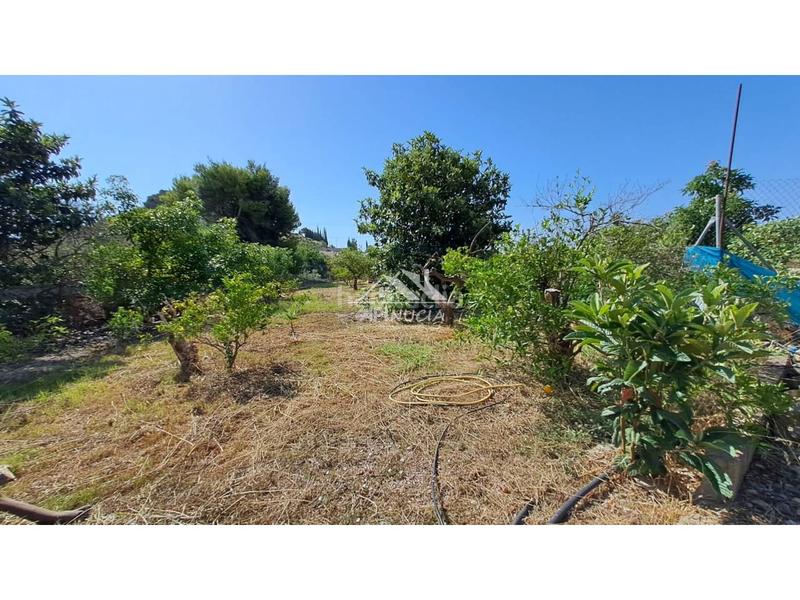 Foto 6d9060ec-e2b6-42a4-9bab-37972b3bf54d. Propriété dans mandem 8 dans Altea ciudad Altea