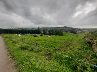 Residential Plot in Zurita. Terreno para casa independiente en zurita de piélagos