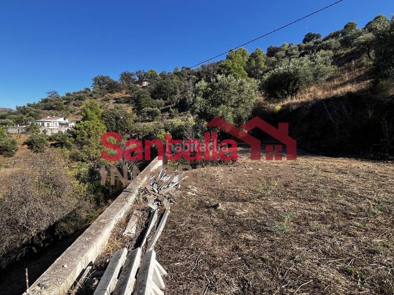 Foto 24df3022-76e0-42f4-8f00-0e397cddafb7. Mas dans El Rescate - Río Seco Almuñécar