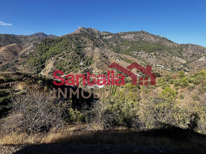 Foto 33fd4cca-cc79-4e09-bae3-bcc6617e5d52. Mas dans El Rescate - Río Seco Almuñécar