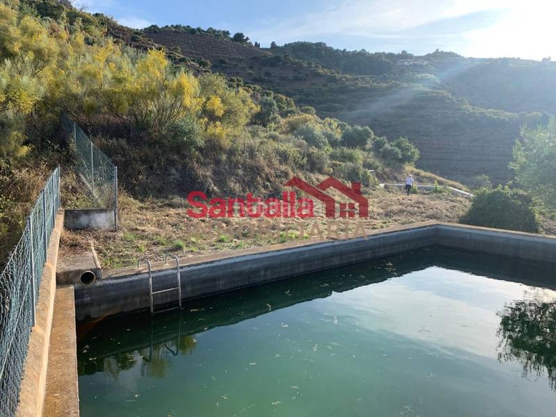 Foto 25a94573-8af8-4783-bb40-bd6bc7d6d690. Masia a El Rescate - Río Seco Almuñécar