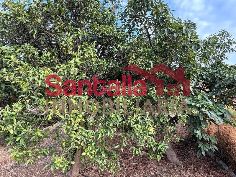 Foto 47c383dc-bf26-48f0-bd0d-6381d409d2e8. Masia a El Rescate - Río Seco Almuñécar