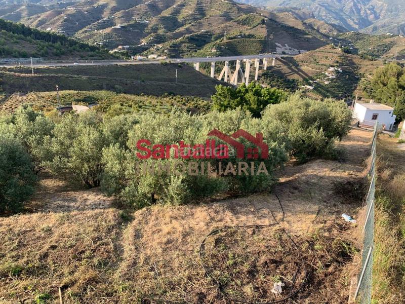 Foto 4d98cf3a-ae5b-47b2-81d1-037a45499f51. Masia a El Rescate - Río Seco Almuñécar