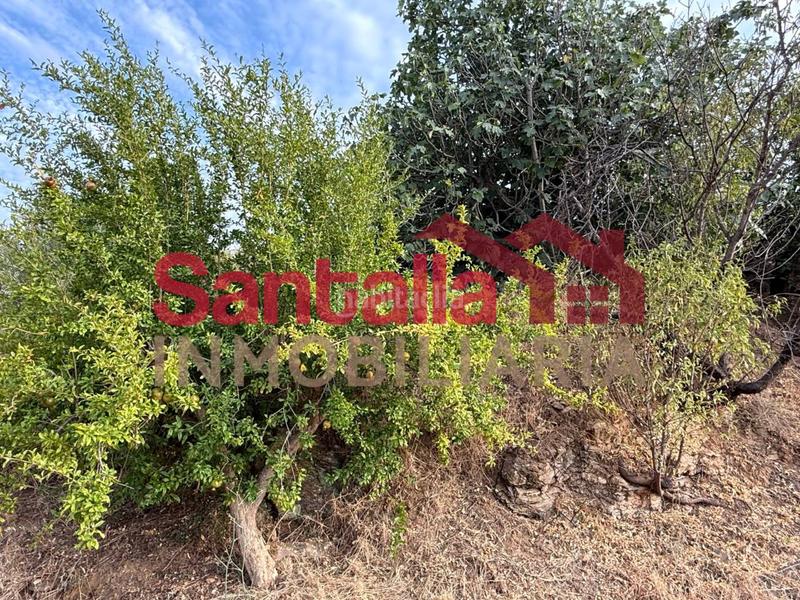 Foto 4e7d4904-627a-4f21-aeaa-1061fa7f5a8c. Masia a El Rescate - Río Seco Almuñécar