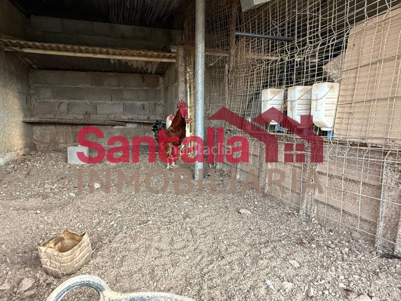 Foto 6ee165c1-1f68-4337-84fa-a45cdc7f5048. Masia a El Rescate - Río Seco Almuñécar