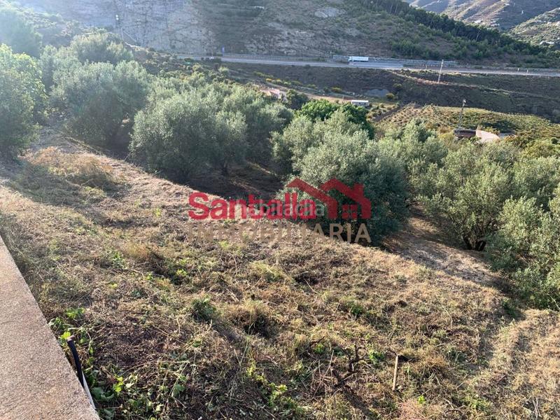 Foto fb495c18-3303-471a-84f5-6e284d396fe6. Masia a El Rescate - Río Seco Almuñécar