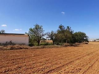 Finca rústica a El Pino. Finca rústica en campotejar