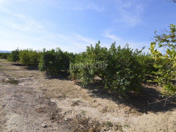 Foto c17bae96-1cf5-40e1-a8ab-1341a4714ade. Finca rústica a Ulea