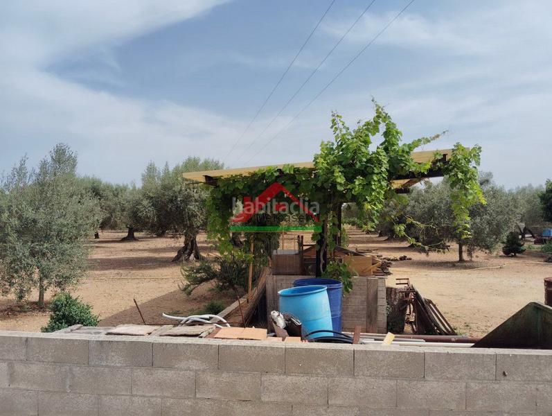 Foto 1ac6d20e-70bb-4ba8-a12f-0fdcea8306da. Country house in n/a 59 in Partidas de Interior - Zona Rústica Vinaròs