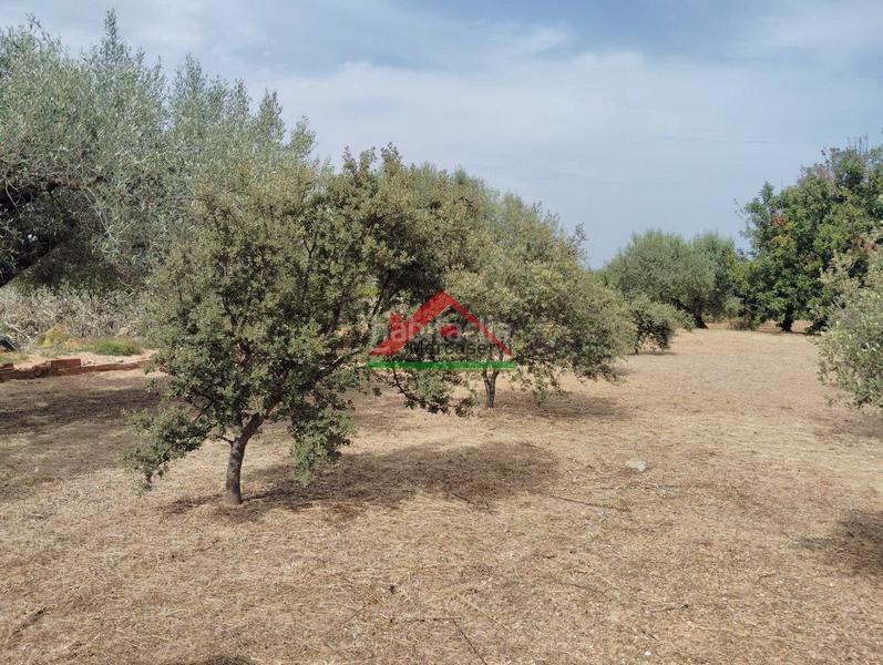 Foto 5cd5d8a6-d780-48fb-8a51-3d31b3c6b8c1. Country house in n/a 59 in Partidas de Interior - Zona Rústica Vinaròs