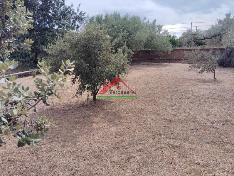 Foto 6c061f27-8db7-4a2b-8c6d-1d56487e7747. Country house in n/a 59 in Partidas de Interior - Zona Rústica Vinaròs