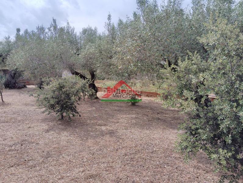 Foto 999fb527-017c-445f-845d-c3bdb49b106b. Country house in n/a 59 in Partidas de Interior - Zona Rústica Vinaròs