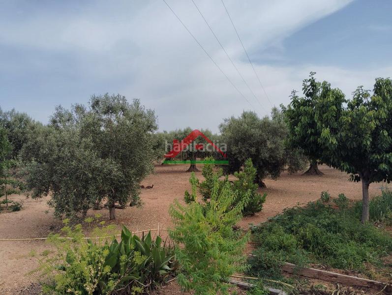 Foto d451f8a3-39b3-4dcf-942a-c1c663f467fb. Country house in n/a 59 in Partidas de Interior - Zona Rústica Vinaròs