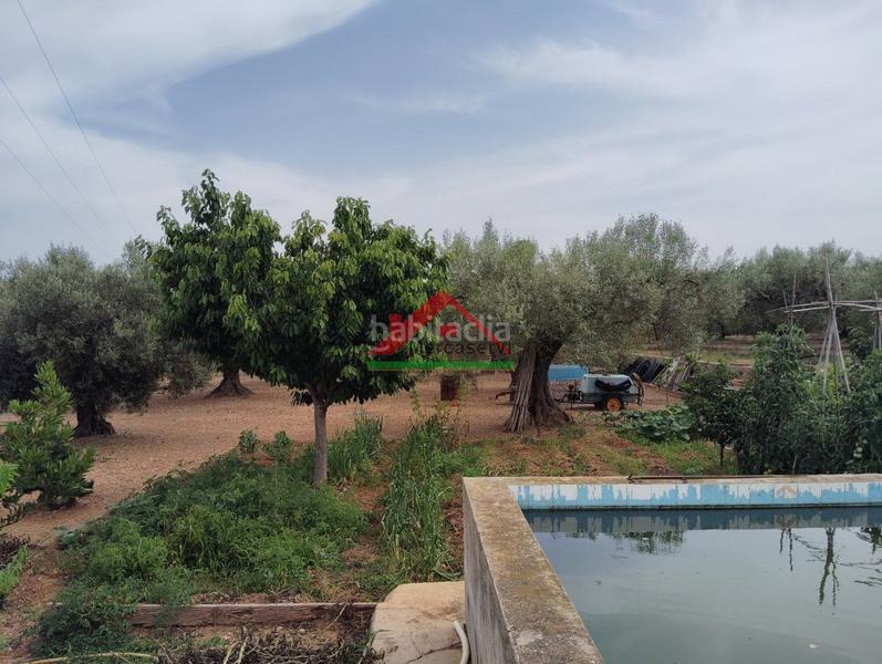 Foto f22d2609-2531-496f-8312-081391291e93. Country house in n/a 59 in Partidas de Interior - Zona Rústica Vinaròs