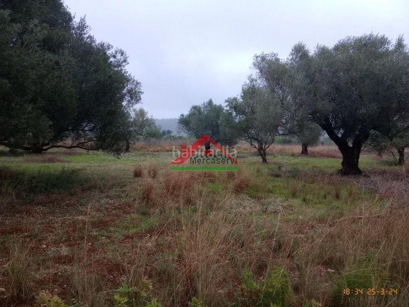 Foto f6f75236-c9c8-494b-936b-5f938af72d48. Masia a n/a a Partidas de Interior - Zona Rústica Vinaròs