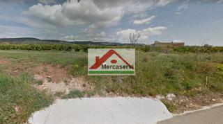 Finca rústica a Alcanar. Finca rúst. en venta en alcanar.