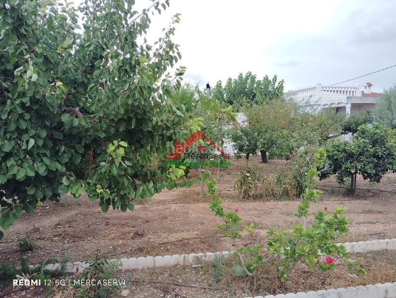 Foto ee7a0e9a-36ef-425b-a386-a43f62f8ccf2. Haus in graveras in Partidas de Interior - Zona Rústica Vinaròs