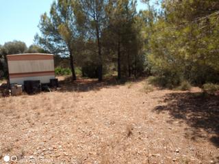 Terreny residencial en N/a. Solar en venta en avda. la estacin.