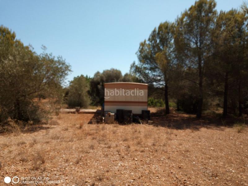 Foto 04517459-8122-41ad-bd16-3d68d45a03d6. Terreno residencial en n/a solar en venta en avda. la estación. en Peñíscola