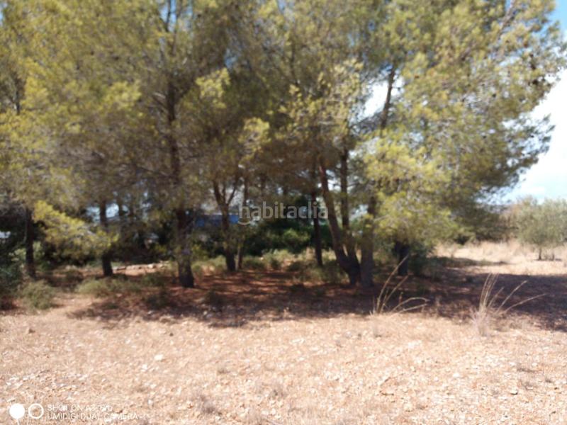 Foto 3ae3b800-d570-4cf3-adba-68f3a2043084. Terreno residencial en n/a solar en venta en avda. la estación. en Peñíscola