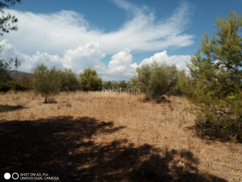 Foto c06a46aa-a54a-4b65-8cd5-60912eb7175e. Terreno residencial en n/a solar en venta en avda. la estación. en Peñíscola