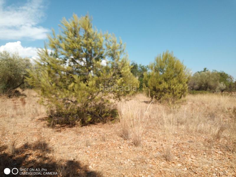 Foto c6efdebb-9256-436c-8d13-14f3edd16693. Terreno residencial en n/a solar en venta en avda. la estación. en Peñíscola