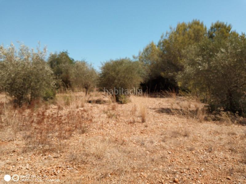 Foto e2b168f4-cc4f-450a-a77f-e1de522b9bb6. Terreno residencial en n/a solar en venta en avda. la estación. en Peñíscola