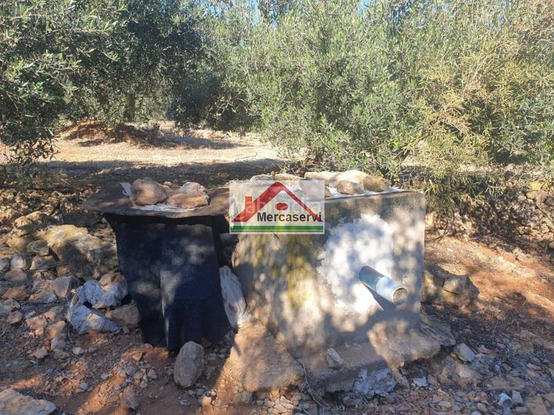 Foto 3a03e89f-86e8-4f98-a793-4d11747077a4. Terrain résidentiel dans Alcanar