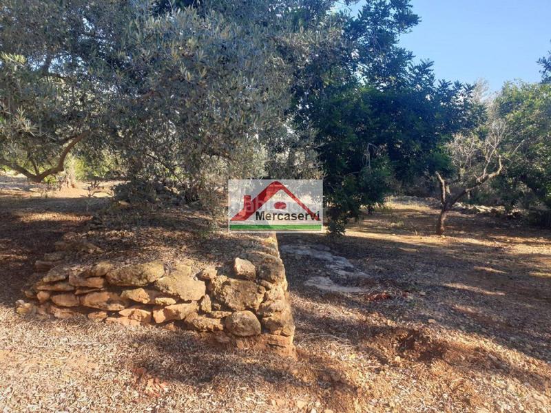 Foto 4920efb1-c447-4c39-a996-99d29d14fdfb. Terrain résidentiel dans Alcanar