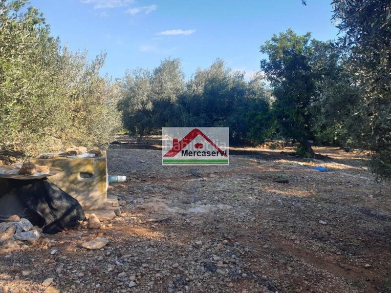 Foto 6f175eab-7b80-4dea-9fe2-1cd7e5269616. Terrain résidentiel dans Alcanar