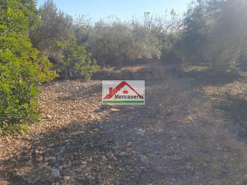 Foto 7c1c6872-4c02-4418-a9b8-451109806ce5. Terrain résidentiel dans Alcanar
