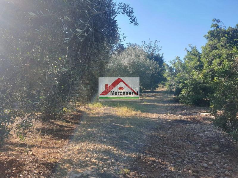 Foto 963f95de-b531-48db-bdc3-c0ae803a6b02. Terrain résidentiel dans Alcanar
