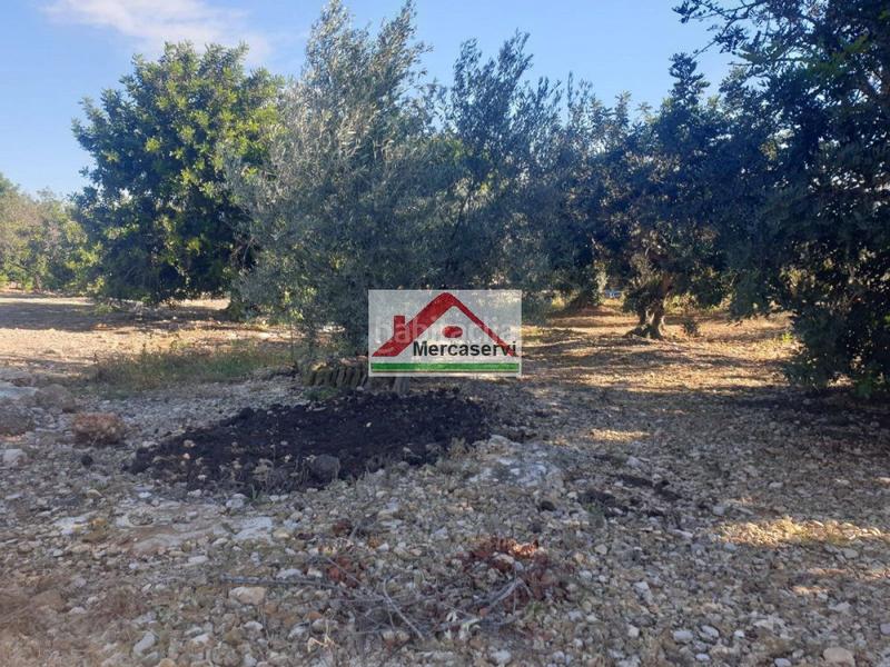 Foto b0621313-e169-479f-9d08-d768d02c3158. Terrain résidentiel dans Alcanar