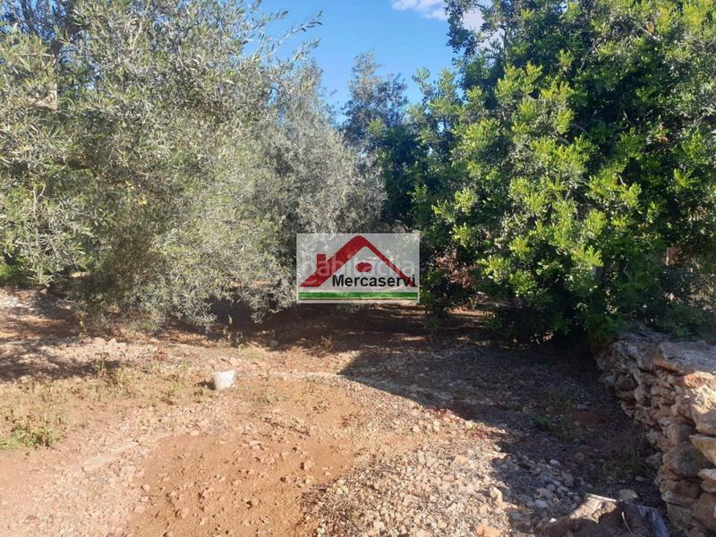 Foto da833b1b-7bed-45ec-9569-3d790b6c7c7a. Terrain résidentiel dans Alcanar