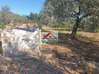 Terreny residencial a Alcanar. Finca rúst. en venta en alcanar.