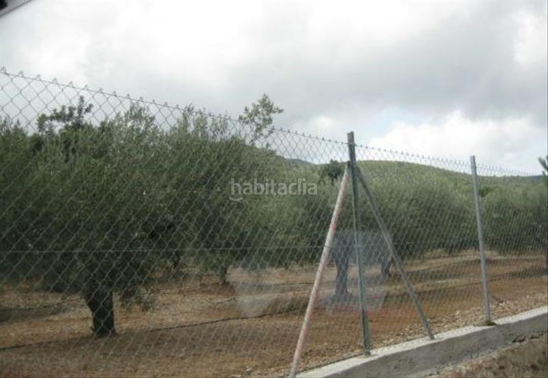 Foto 0f9816d4-4d2d-4438-a129-a9b308b84f9c. Terreno residenziale in Alcanar